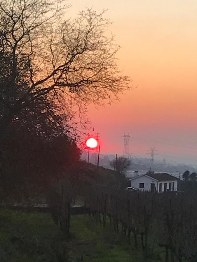 Casa Nova Villa Guimarães Eksteriør bilde