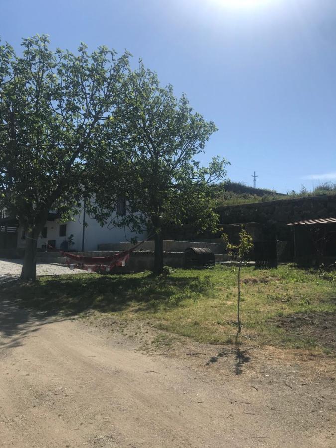 Casa Nova Villa Guimarães Eksteriør bilde