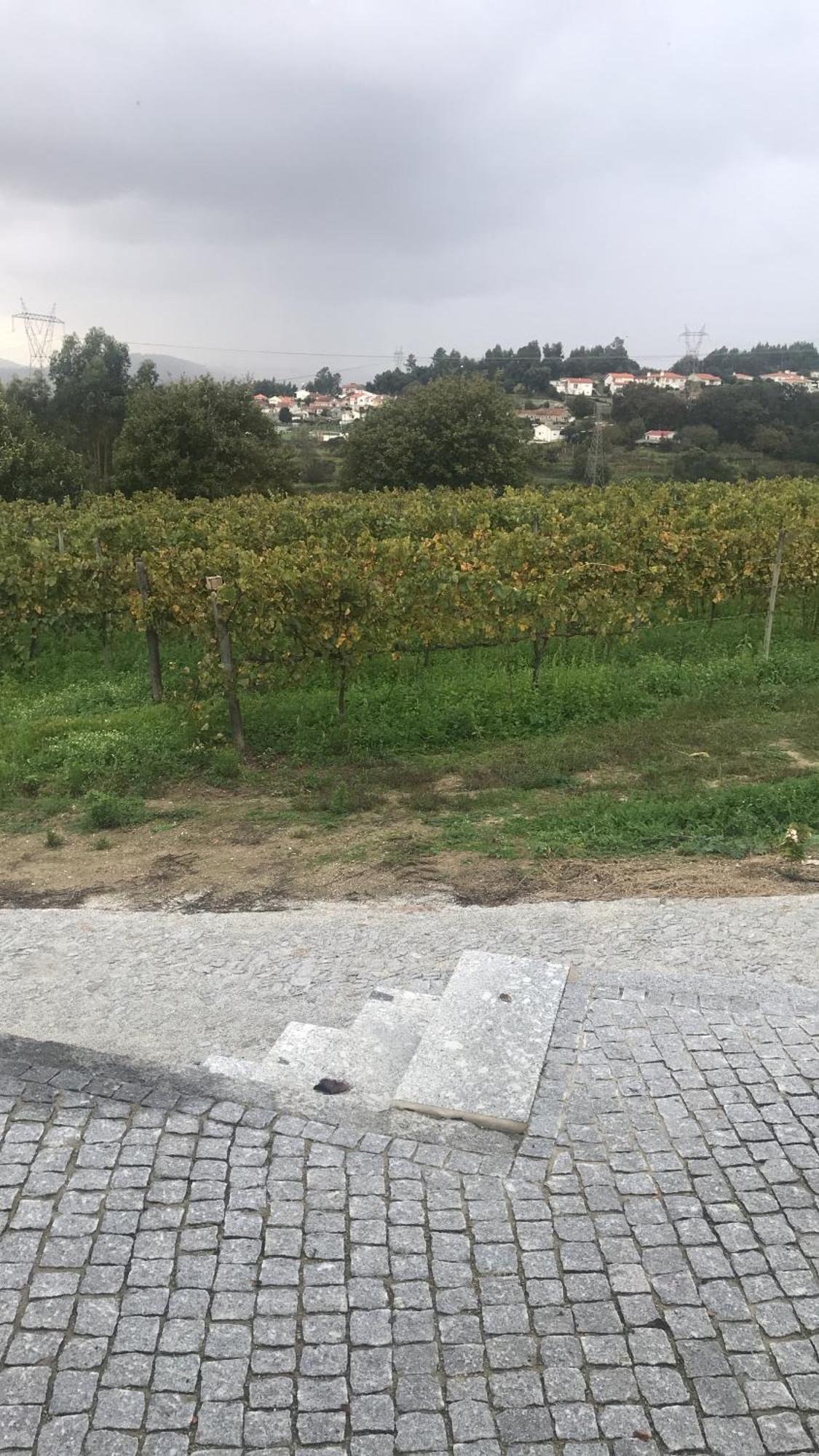 Casa Nova Villa Guimarães Eksteriør bilde